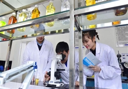 五一勞動(dòng)節，致敬為夢(mèng)想步履不停的金雪馳人