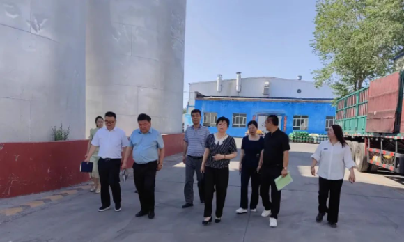 提信心 促發(fā)展|奎屯市副市長(cháng)、伊犁州科技局局長(cháng)、奎屯市科技局局長(cháng)一行調研金雪馳奎屯工廠(chǎng)